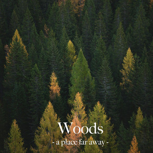 Woods