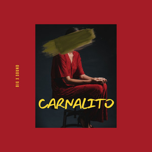 CARNALITO by Big x sound
