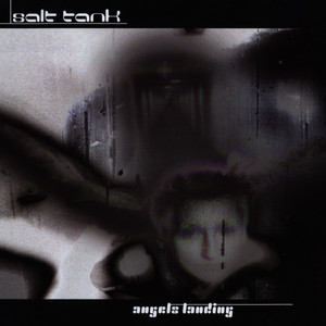Angels Landing - The Light's Voodoo Vocal Mix by Salt Tank