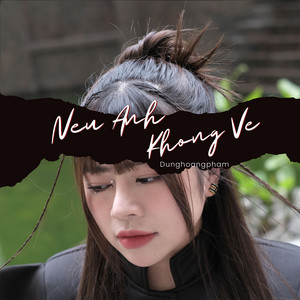 DungHoangPham - Nếu Anh Không Về (Remix)