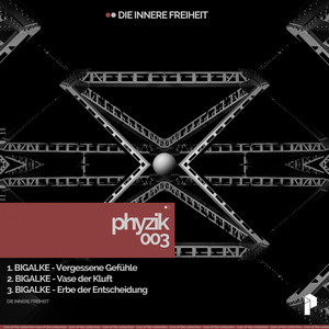 Bigalke & Phyzik - Vergessene Gefühle