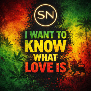 I Want To Know What Love Is by SignalNoirReworks