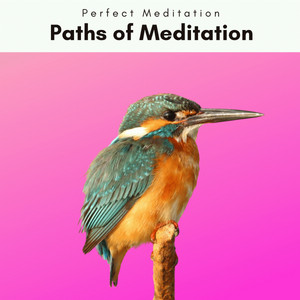 2022 Paths of Meditation album