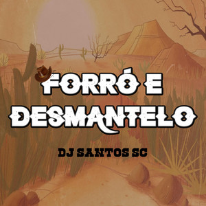 MEGA FUNK FORRÓ E DESMANTELO