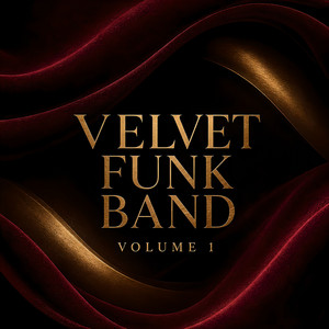 Basslines by Velvet Funk Band