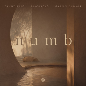 Numb - Extended Mix by Danny Suko, ElSchacko, Gabriel Summer