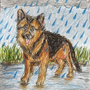 Dog in the Rain by Doctor Tongue
