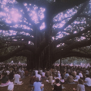 Bydlo (Theme from Auroville)