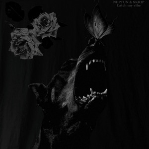 Cover art: Catch My Vaib
