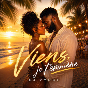 Viens je T'emmène by Dj VYNCE