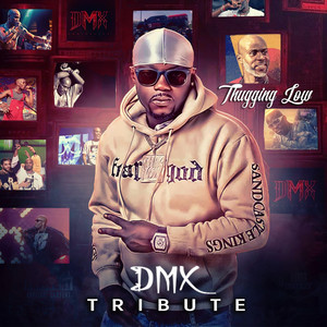 Thugging low - DMX Tribute