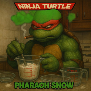 Ninja Turtle by Pharaoh Snow