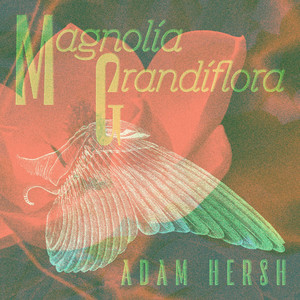 Magnolia Grandiflora by Adam Hersh, Frederico Heliodoro, Tristan Cappel, Gary Novak, Max Walker, Daniel Massey