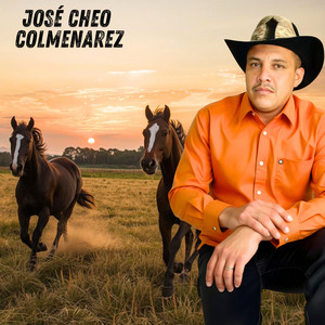 La Vida en un Tropel by Jose Cheo Colmenarez