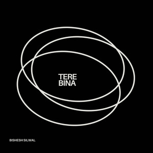 Tere Bina