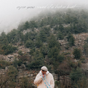 Aspen Grove — Sound of a Broken Heart