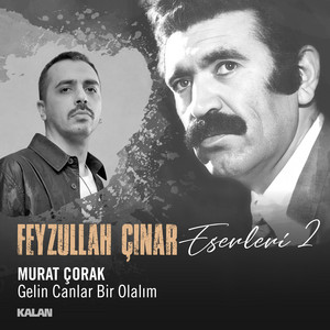 Gelin Canlar Bir Olalım (Feyzullah Çınar Eserleri 2)