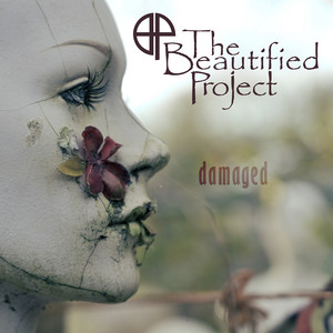 Damaged by The Beautified Project
