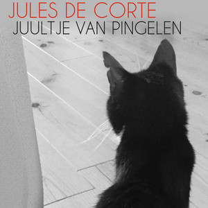 Juultje Van Pingelen