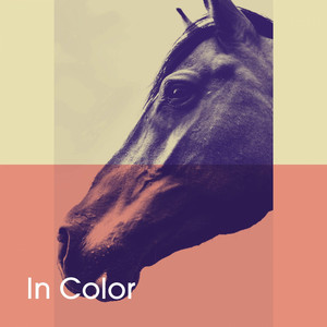 In Color album