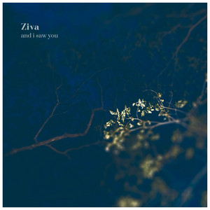 and I saw you by Ziva