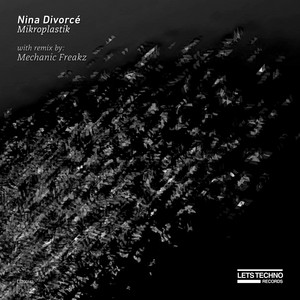 Nina Divorce cover