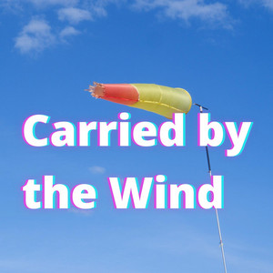 Carried by the Wind by 2strings