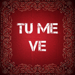Tu Me Ve by Mello US
