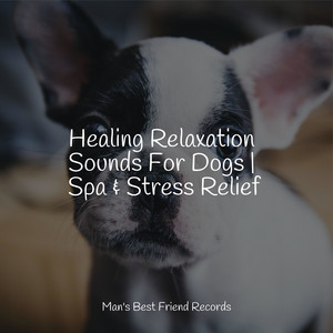 Healing Relaxation Sounds For Dogs | Spa & Stress Relief album