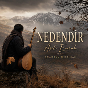 Nedendir by Anadolu Deep Saz