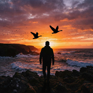 Wild Geese by Rodrik Gameli