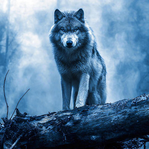 LONE WOLF by Viking Spirit