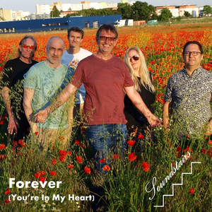 Forever (You're In My Heart)