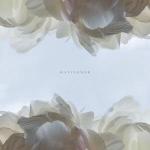 Mayflower by RHEIA