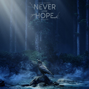Never Lose Hope (Reimagined) by Matias Bacoñsky