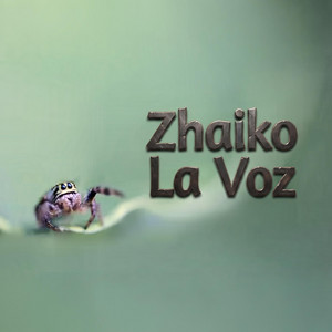 Entre Eres y Soy by Zhaiko La Voz