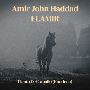 Llanto Del Caballo (Rondeña) by Amir John Haddad – EL AMIR