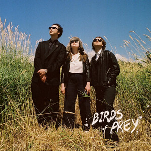 Birds of Prey by Ludic