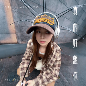 Fei Fei - 真的好想你
