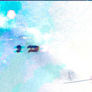 Pslmrk — Limit is a ghost