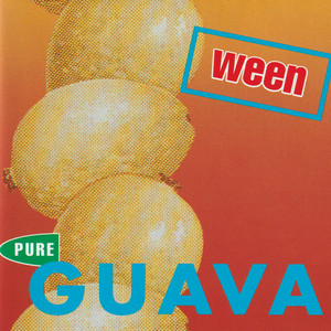 Flies on My Dick by Ween