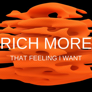 That Feeling I Want by RICH MORE
