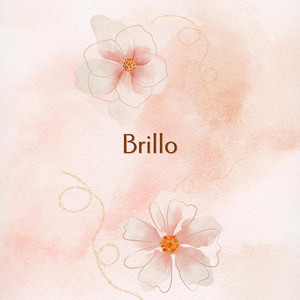BRILLO by faustodj