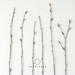 Wicker by Pale Ceremony