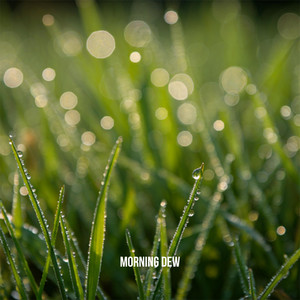 Morning Dew