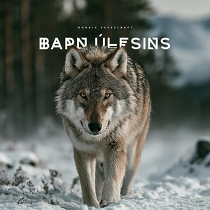 Barn Úlfsins (Child of the Wolf) by Nordic Versecraft