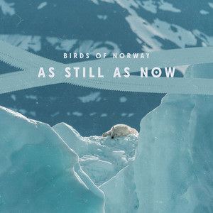 Blossom