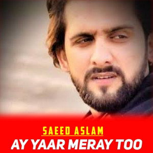 Ban Gaye Tandur Hadan Da Balan (1)