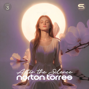 After the Silence by Norton Torres