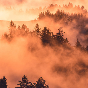 Visions by Jost Esser